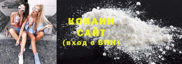 ешки Алзамай