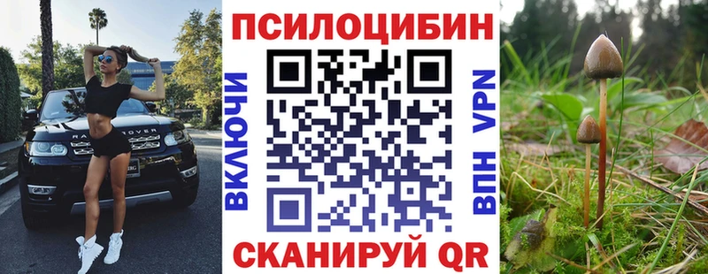 Псилоцибиновые грибы GOLDEN TEACHER  купить наркоту  Новая Ладога 